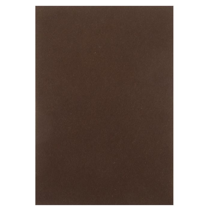 Набор фетра Астра (10 листов) "Коричневый" 1 мм 180гр 20х30 см