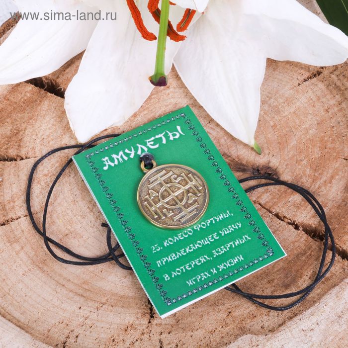 фото Амулет "колесо фортуны", 68см