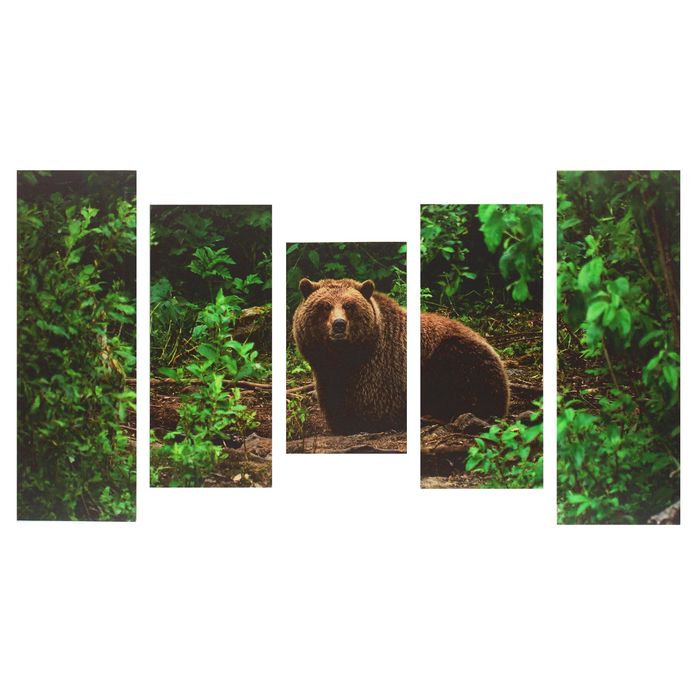 Модульная картина на подрамнике "Медведь", 2 — 25×57, 2 — 25×72, 1 — 25×43 см, 125×72 см