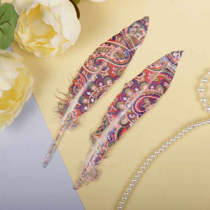 Набор перьев для декора, 2 шт.