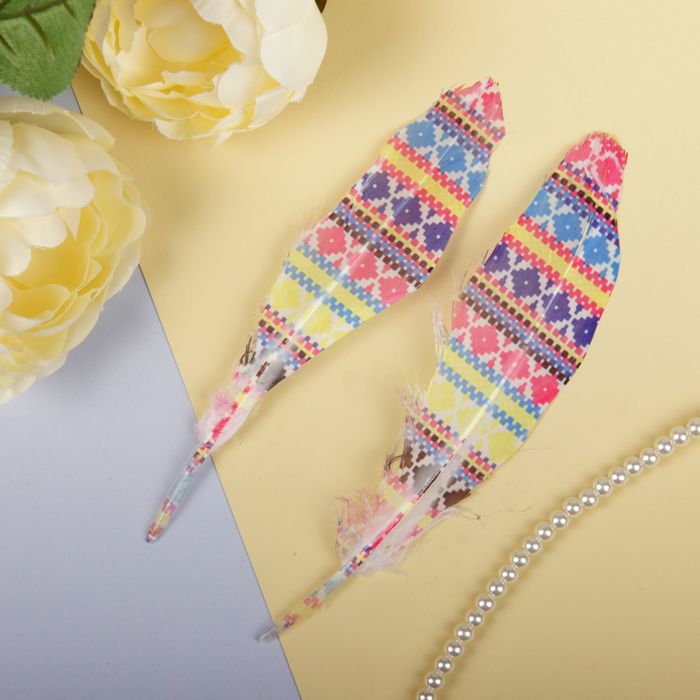 Набор перьев для декора, 2 шт.