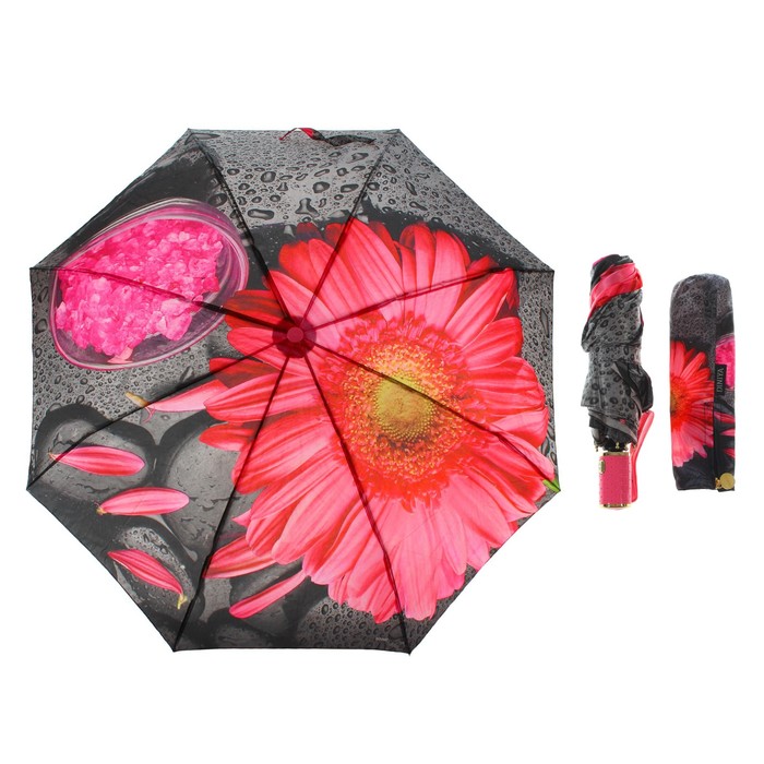 Зонт автоматический "Гербера", R=51,5см