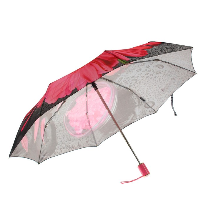 Зонт автоматический "Гербера", R=51,5см