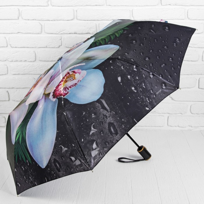 Зонт полуавтоматический "Орхидея белая", R=51,5см