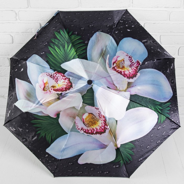 Зонт полуавтоматический "Орхидея белая", R=51,5см