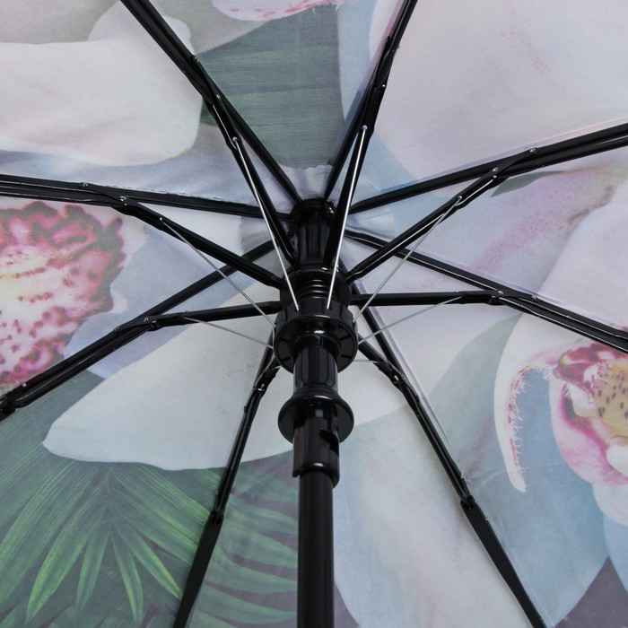 Зонт полуавтоматический "Орхидея белая", R=51,5см