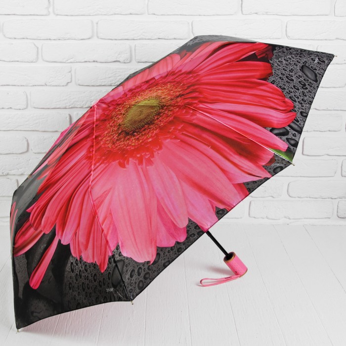 Зонт полуавтоматический "Гербера", R=51,5см