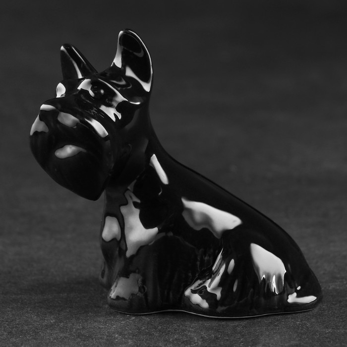 Статуэтка фарфоровая Скотч терьер сидит, 8 см статуэтка фарфоровая французский бульдог бело чёрный 8 см авторская роспись