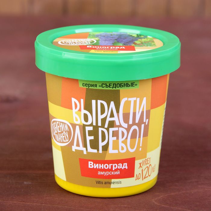 Набор для выращивания растений "Вырасти, Дерево! Виноград Амурский"