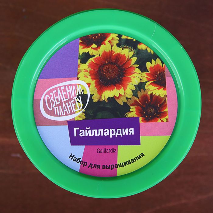 Набор для выращивания растений "Вырасти, Дерево! Гайллардия"