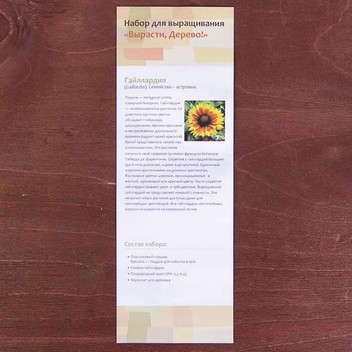Набор для выращивания растений "Вырасти, Дерево! Гайллардия"