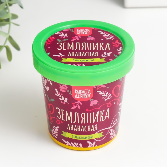 Набор для выращивания растений "Вырасти, Дерево! Земляника ананасная"