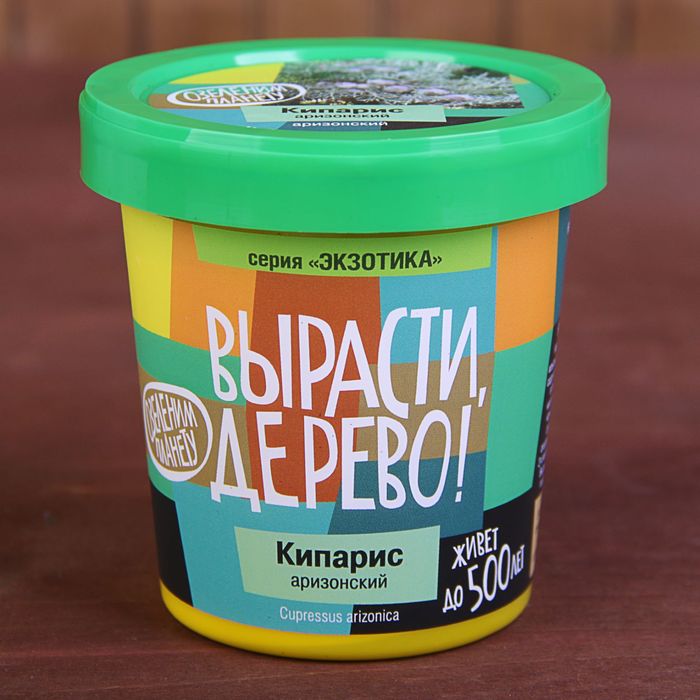 Набор для выращивания растений "Вырасти, Дерево! Кипарис Аризонский"