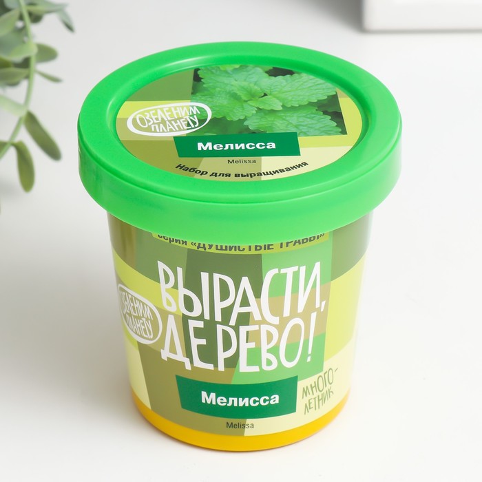 Набор для выращивания растений "Вырасти, Дерево! Мелисса"