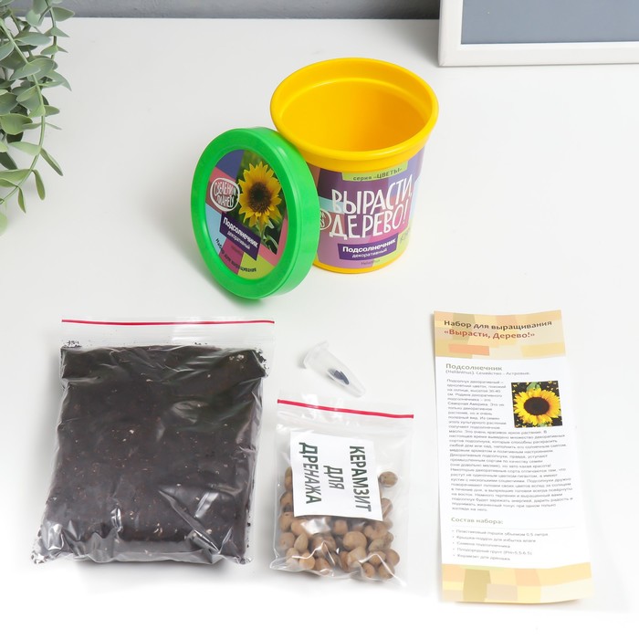 Набор для выращивания растений "Вырасти, Дерево! Подсолнечник"