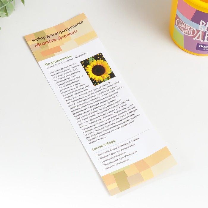 Набор для выращивания растений "Вырасти, Дерево! Подсолнечник"