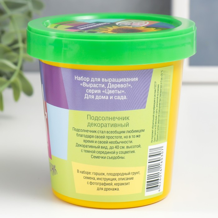 Набор для выращивания растений "Вырасти, Дерево! Подсолнечник"