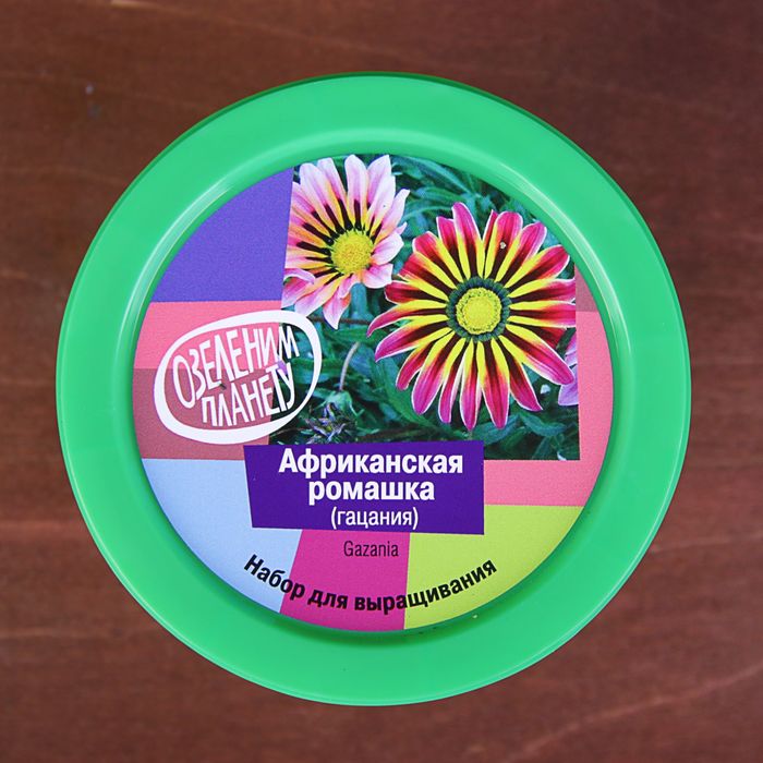 Набор для выращивания растений "Вырасти, Дерево! Ромашка африканская"