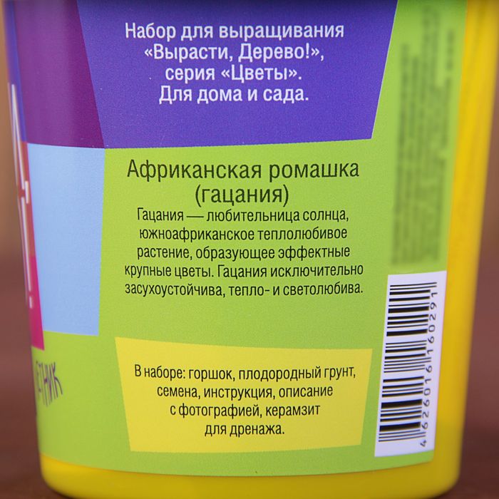 Набор для выращивания растений "Вырасти, Дерево! Ромашка африканская"