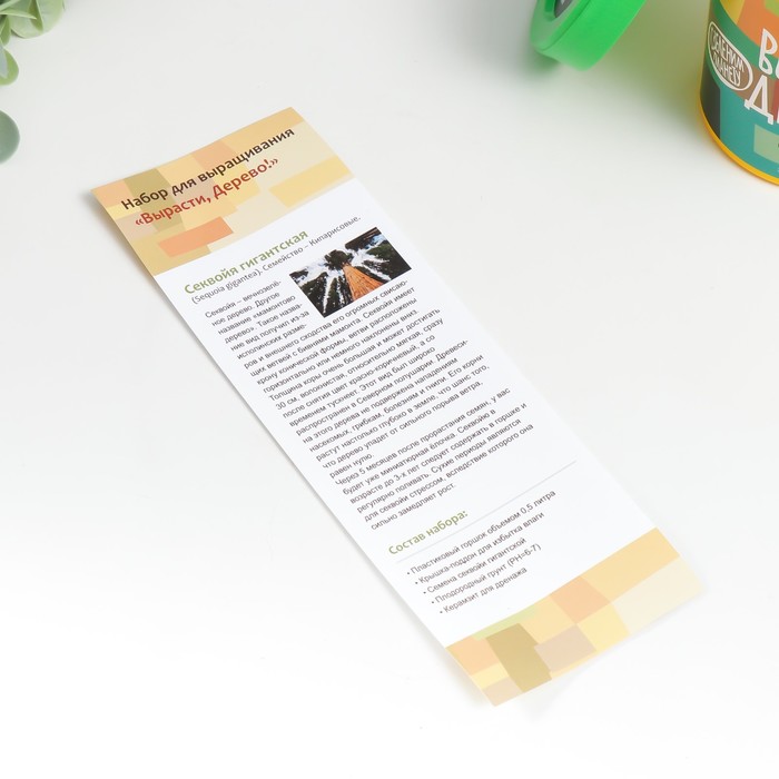 Набор для выращивания растений "Вырасти, Дерево! Секвойя"