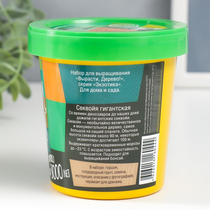 Набор для выращивания растений "Вырасти, Дерево! Секвойя"