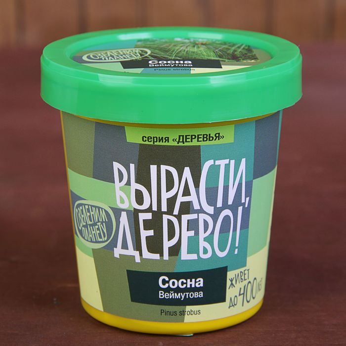 Набор для выращивания растений "Вырасти, Дерево! Сосна Веймутова"