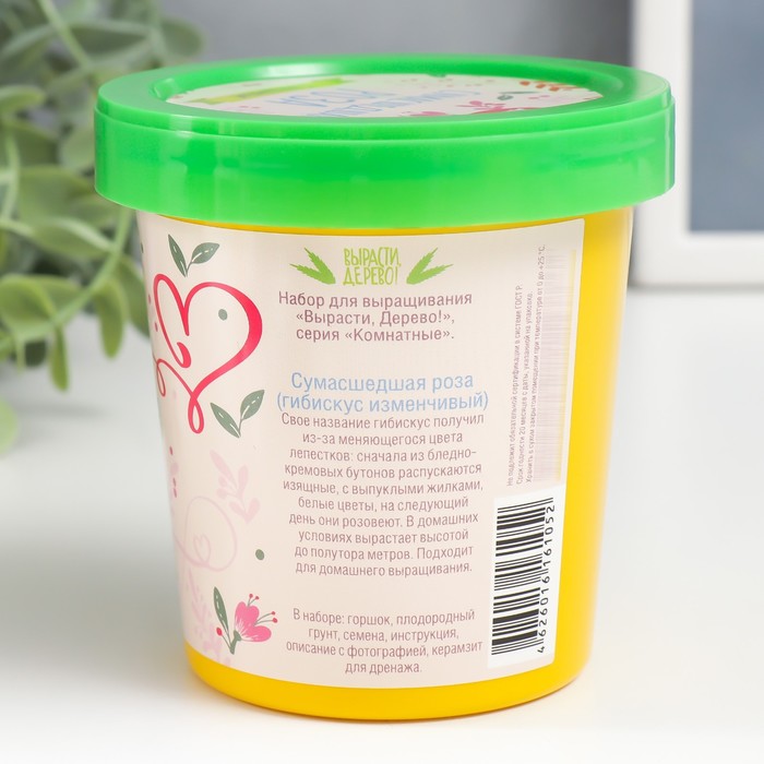 Набор для выращивания растений "Вырасти, Дерево! Сумасшедшая роза"