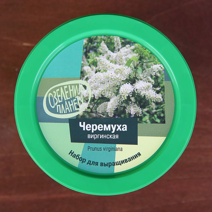 Набор для выращивания растений "Вырасти, Дерево! Черемуха виргинская"