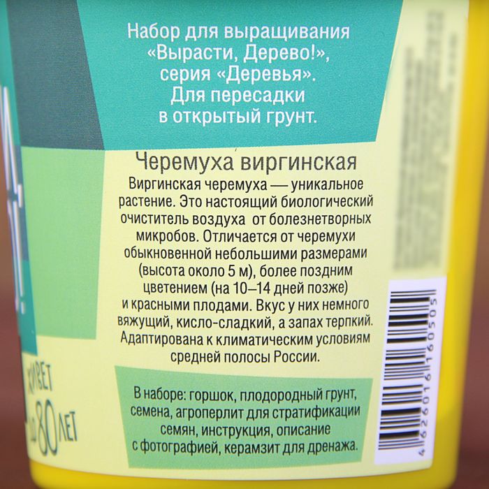 Набор для выращивания растений "Вырасти, Дерево! Черемуха виргинская"
