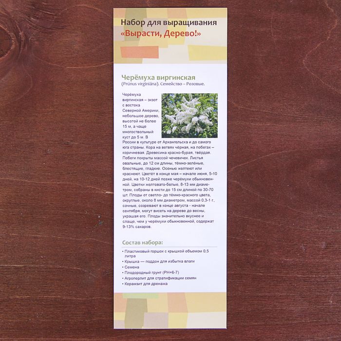 Набор для выращивания растений "Вырасти, Дерево! Черемуха виргинская"