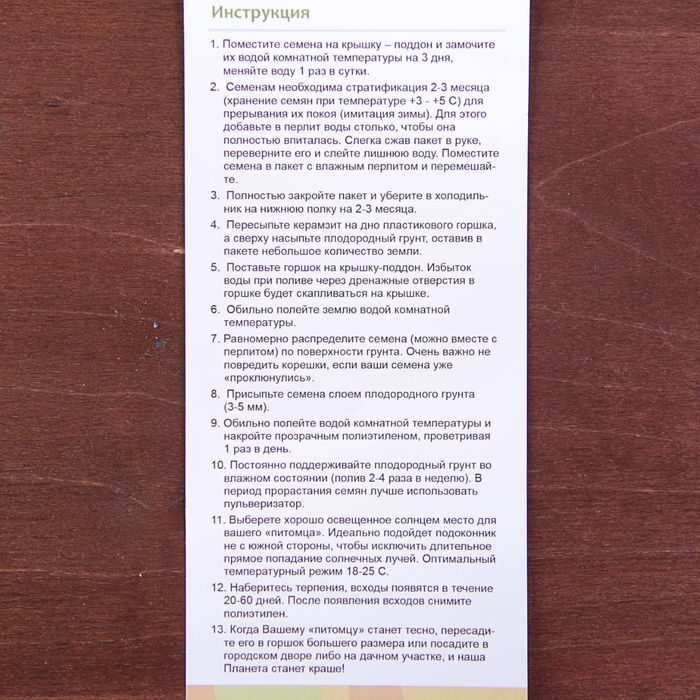 Набор для выращивания растений "Вырасти, Дерево! Черемуха виргинская"