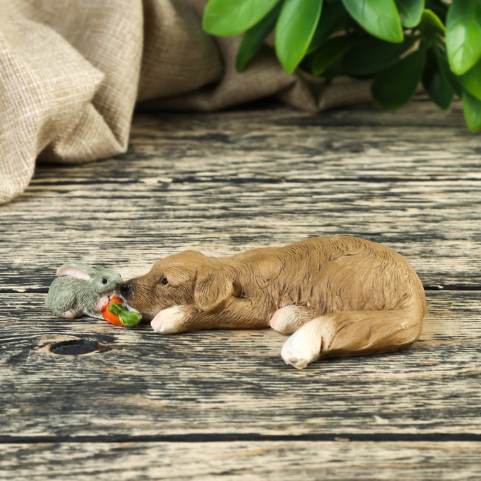 Сувенир "Попробуй морковку" 11,5х6,5х1,8 см