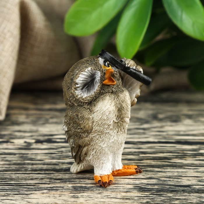 Сувенир "Сова первооткрыватель" 4х3,5х6 см