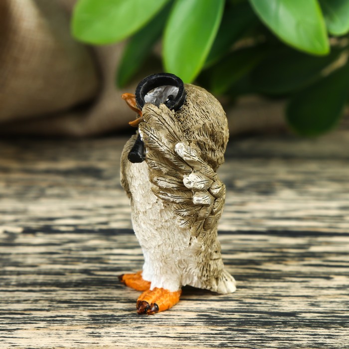 Сувенир "Сова первооткрыватель" 4х3,5х6 см