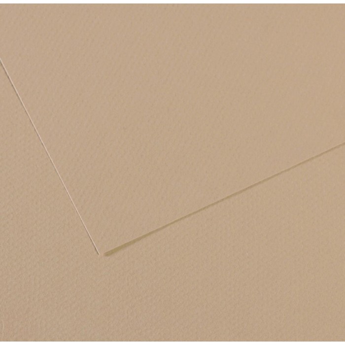 Бумага для пастели 500*650 Canson Mi-Teintes 1 л 160 г/м2 №343 Серо-бежевый 200321054