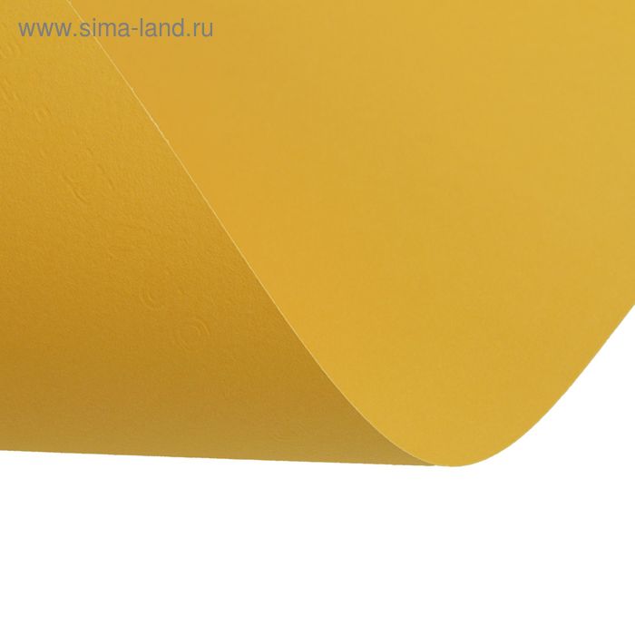 

Бумага для пастели Mi-Teintes CANSON, 50 х 65 см, 1 лист, №400 Желтый канареечный, 160 г/м2
