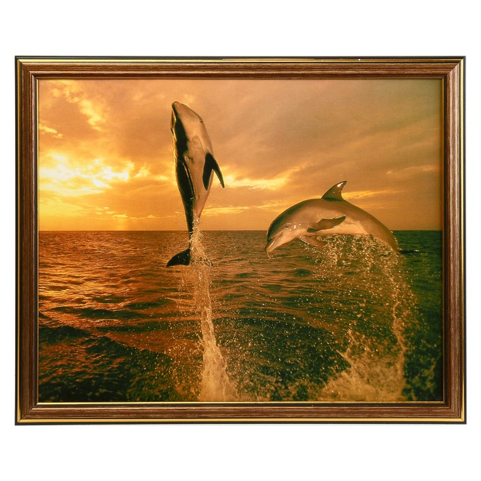 Картина "Пара дельфинов"