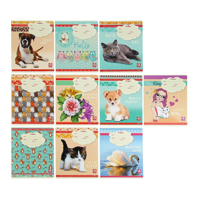 Тетрадь 12 листов клетка "Микс-49", обложка картон хромэрзац, 10 видов МИКС