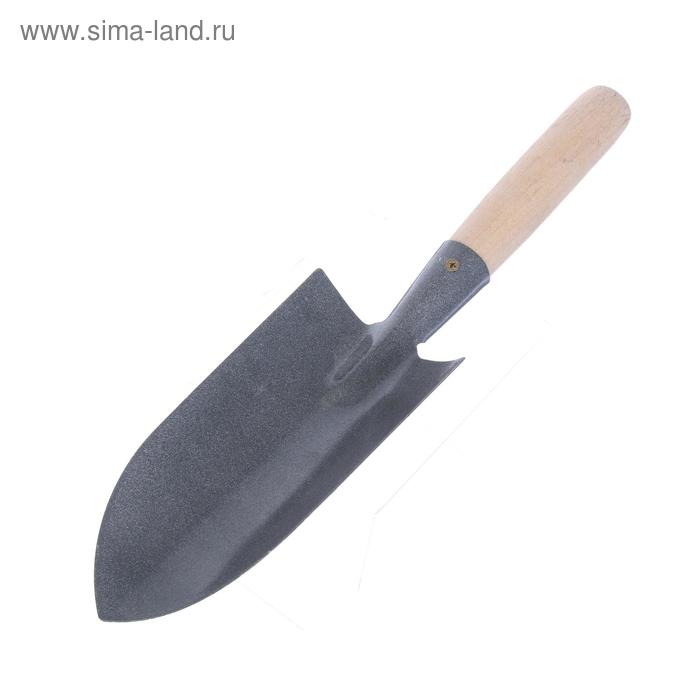 

Совок посадочный, длина 34 см, ширина 8.5 см, деревянная ручка