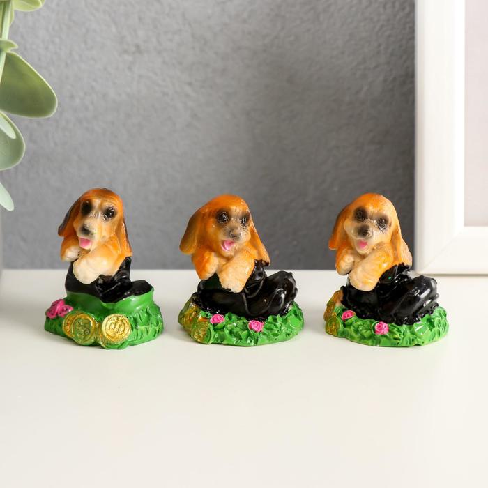 Сувенир полистоун "Щеночек в ботинке" МИКС 4х2,8х3,5 см