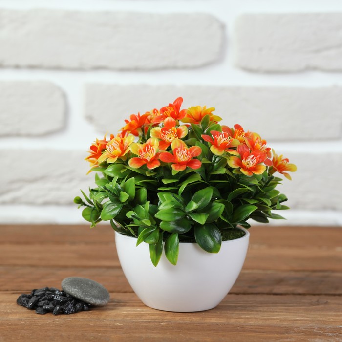 Бонсай 13*13 см с незабудками микс