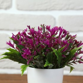 

Бонсай 17*17 см с мелкими цветочками МИКС