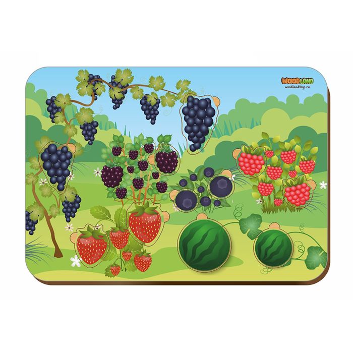 Рамка-вкладыш деревянная "Ассорти фруктов"