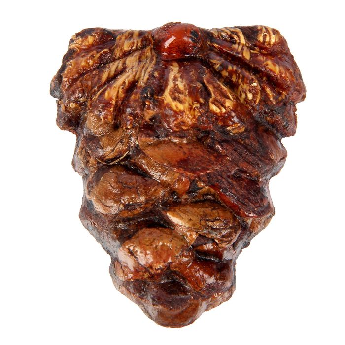 Сувенир из кедропласта на магните "Шишка" малая 5,5x5,5 см