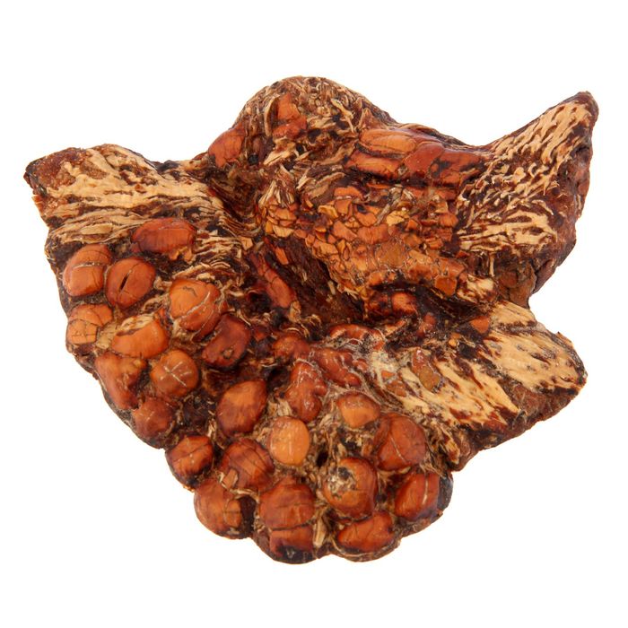 Сувенир из кедропласта на магните "Птичка на ветке" 6,5x6,5 см