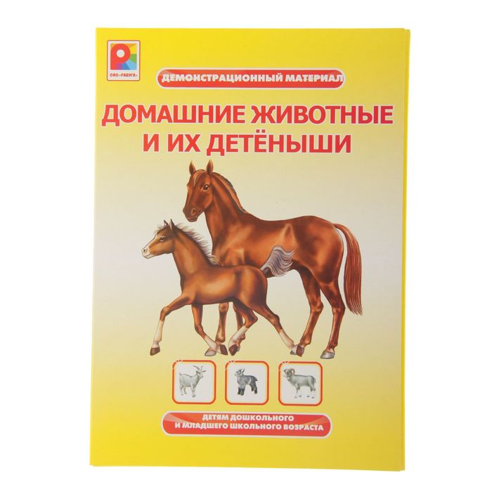 Демонстрационный материал "Домашние животные и их детеныши"