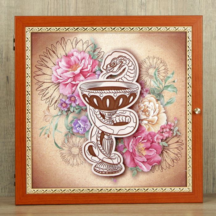 Аптечка настенная "Змея"