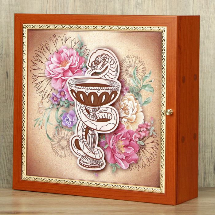 Аптечка настенная "Змея"