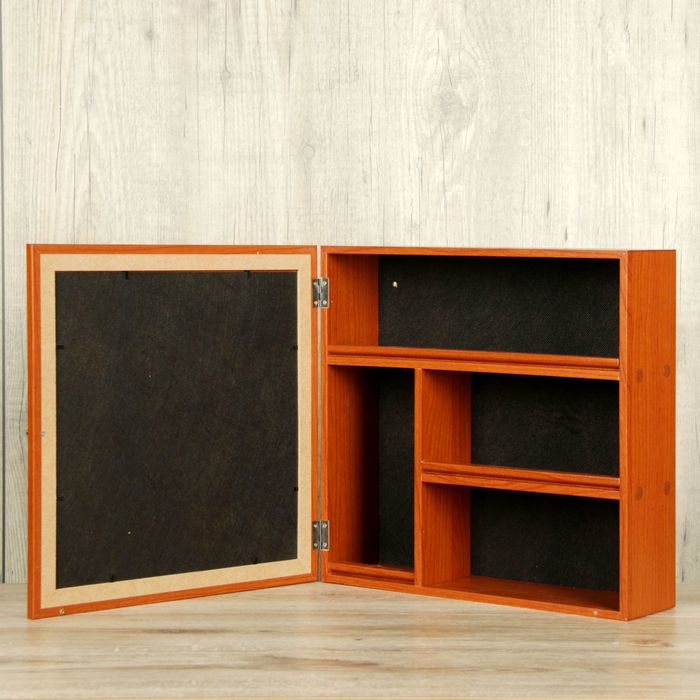 Аптечка настенная "Змея"