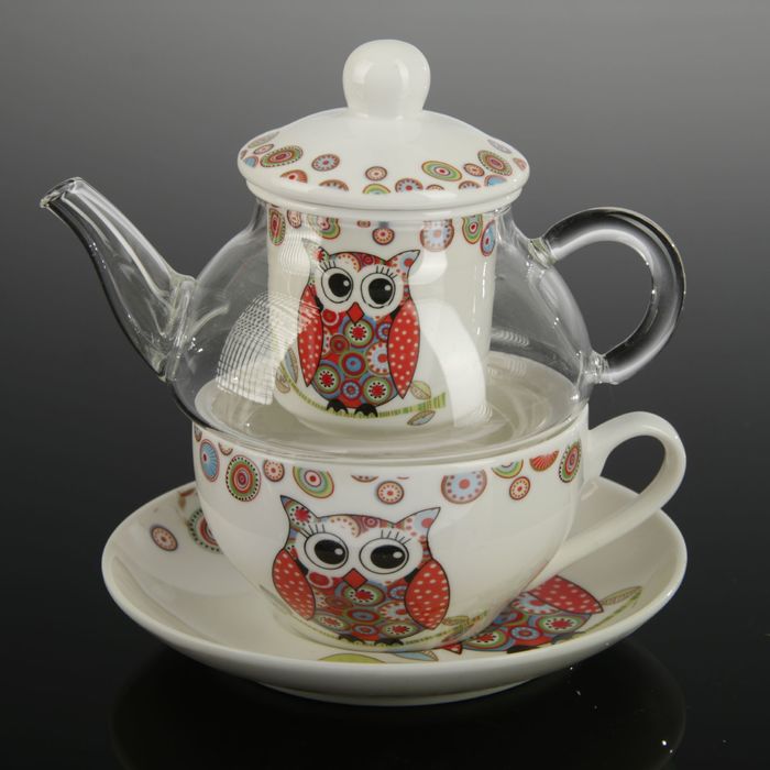 Чайник 330 мл заварочный стеклянный с керамическим ситом, чашкой 200 мл и блюдцем "Мечтающая сова"